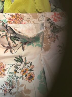 Saint John's Size 14